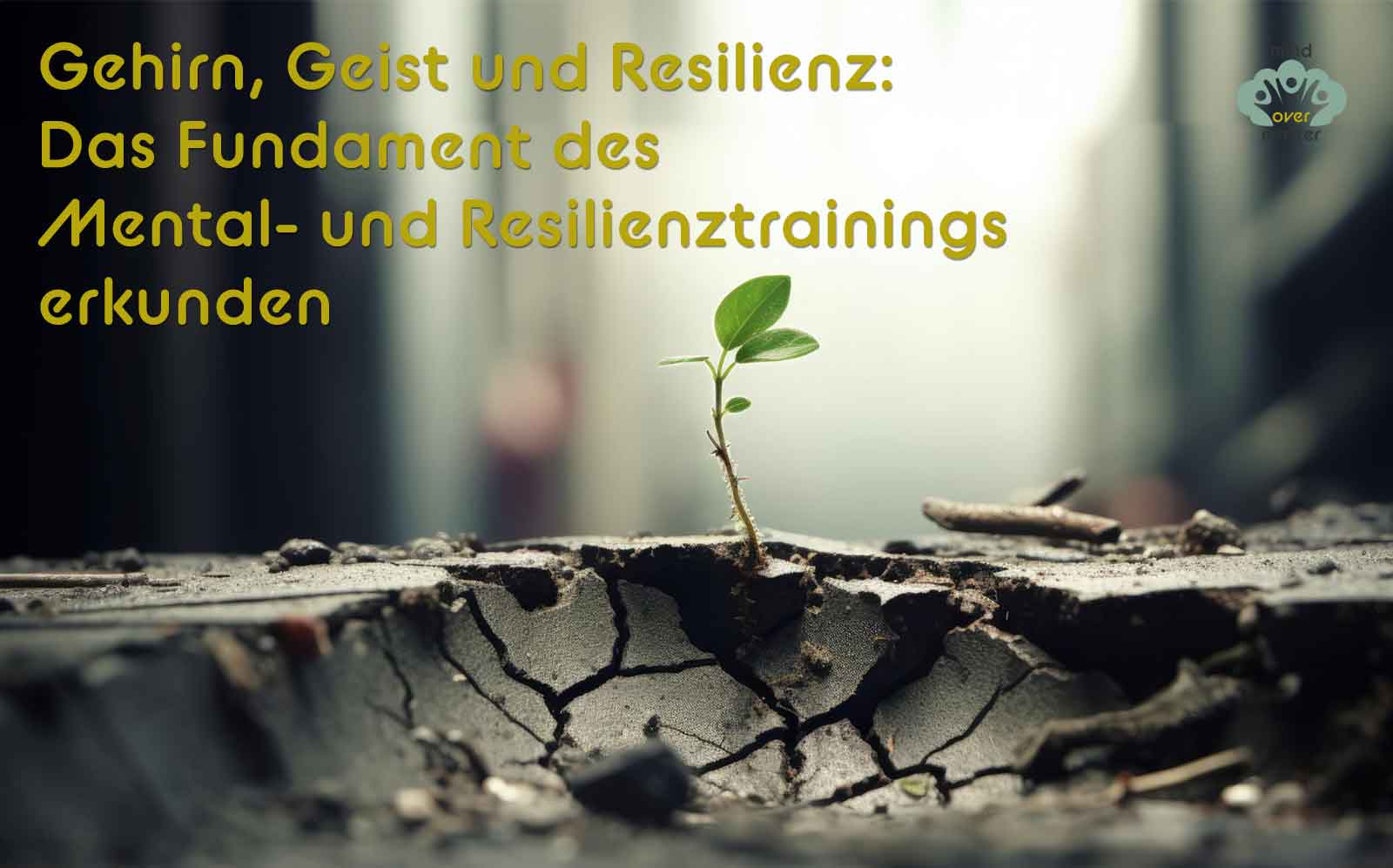 Mental- und Resilienztraining Basis